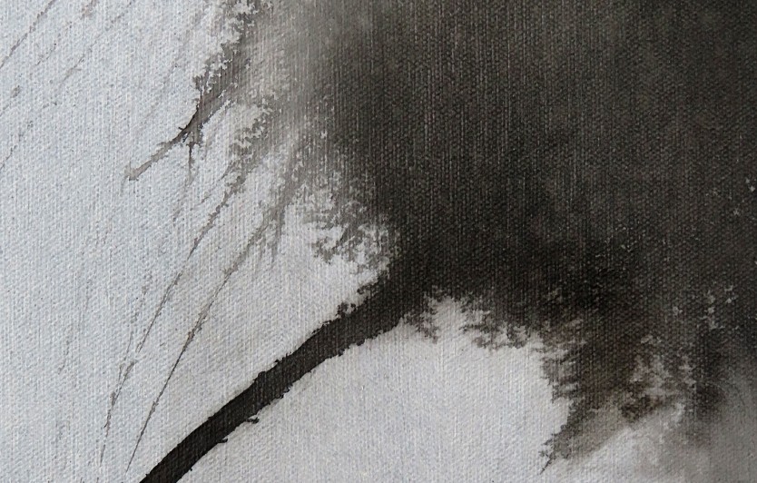 SAAO art