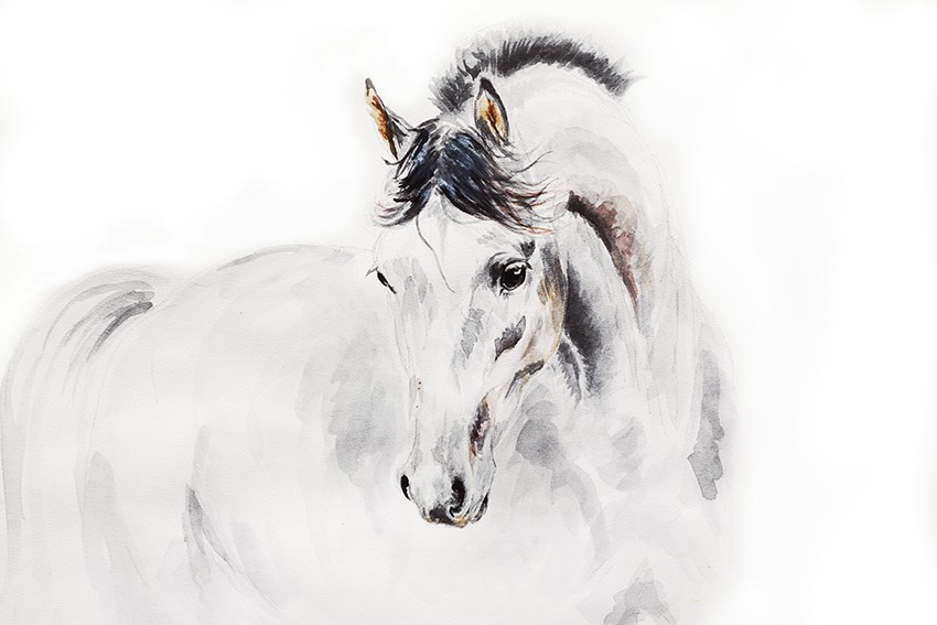 Galloping Toward Inspiration: Painting the Equine Spirit