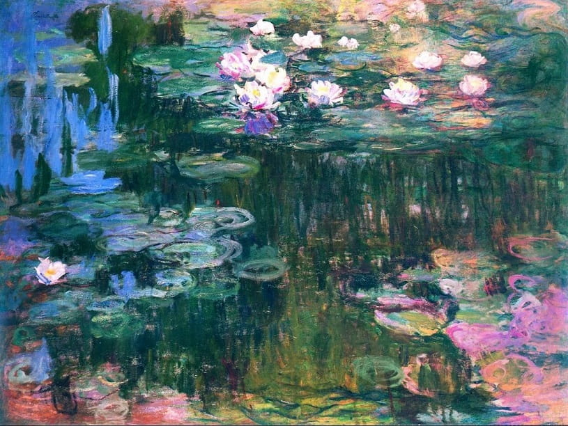 Water lilies.